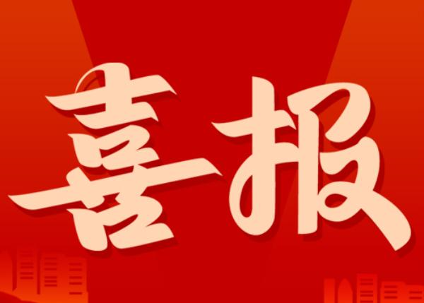 我公司新年再獲殊榮